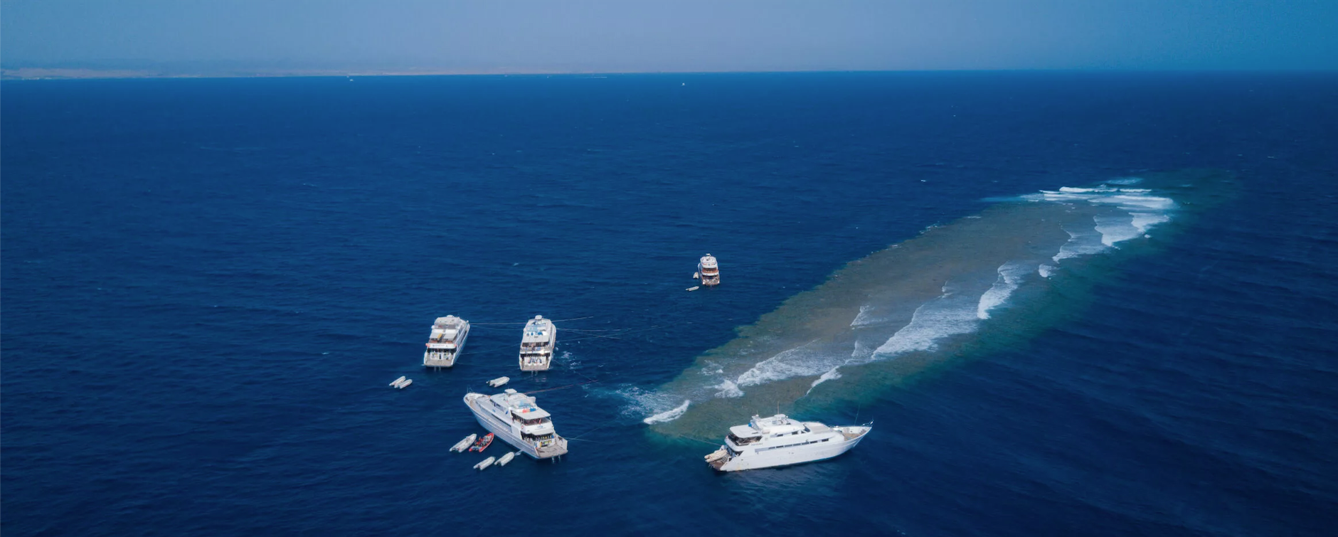 Elphinstone Reef